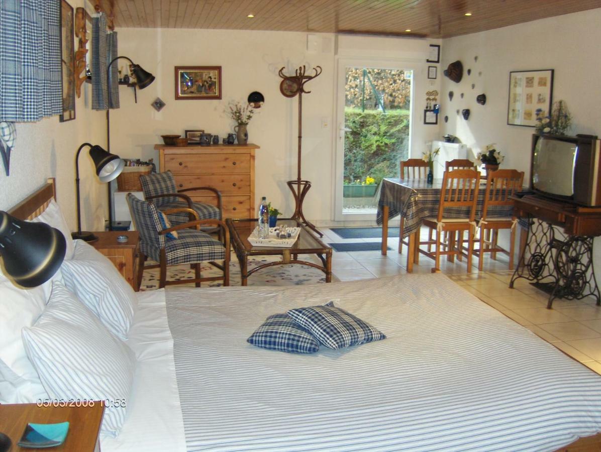 Chambre D'Hotes Au Canal Illkirch-Graffenstaden Εξωτερικό φωτογραφία